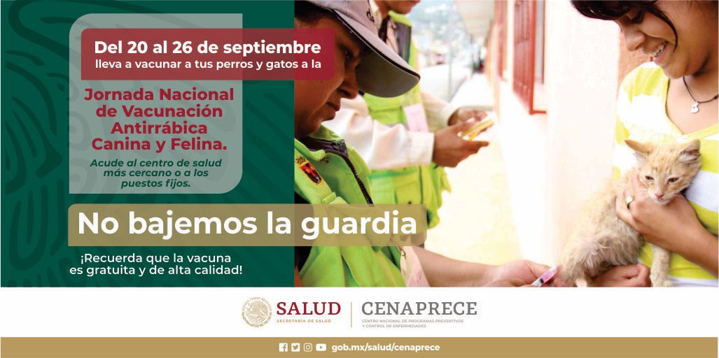 cenaprece's tweet photo. No bajes la guardia, vacuna a tus perros y gatos contra la rabia en tu centro de salud o puesto de vacunación.
Recuerda que la vacuna es gratuita y de alta calidad. #MéxicoSinRabia https://t.co/9MZDGaJzHR