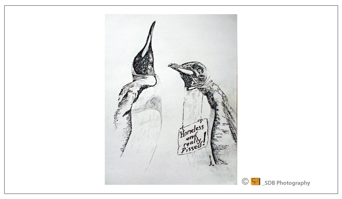 SDB_Designs's tweet photo. See more please visit
https://t.co/9hd2Ok1iyF
 Two protesting penguins with a homeless and pissed sign as climate change destroys their home but whom will hear they plight of despair by SDB Designs drawn by Sean Broadbent #Climate_warming #Penguins #Protesting #Sowerby_Bridge https://t.co/eIVfcm7qHJ