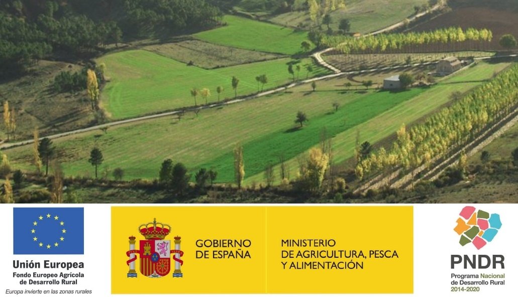 prominifun's tweet image. 🌲@fafcyle coordina las actuaciones en los territorios seleccionados para los piloto del @prominifun centradas en el pino piñonero en Zamora #asfoza y en el castaño y el Pino radiata en León #asfole 🌳