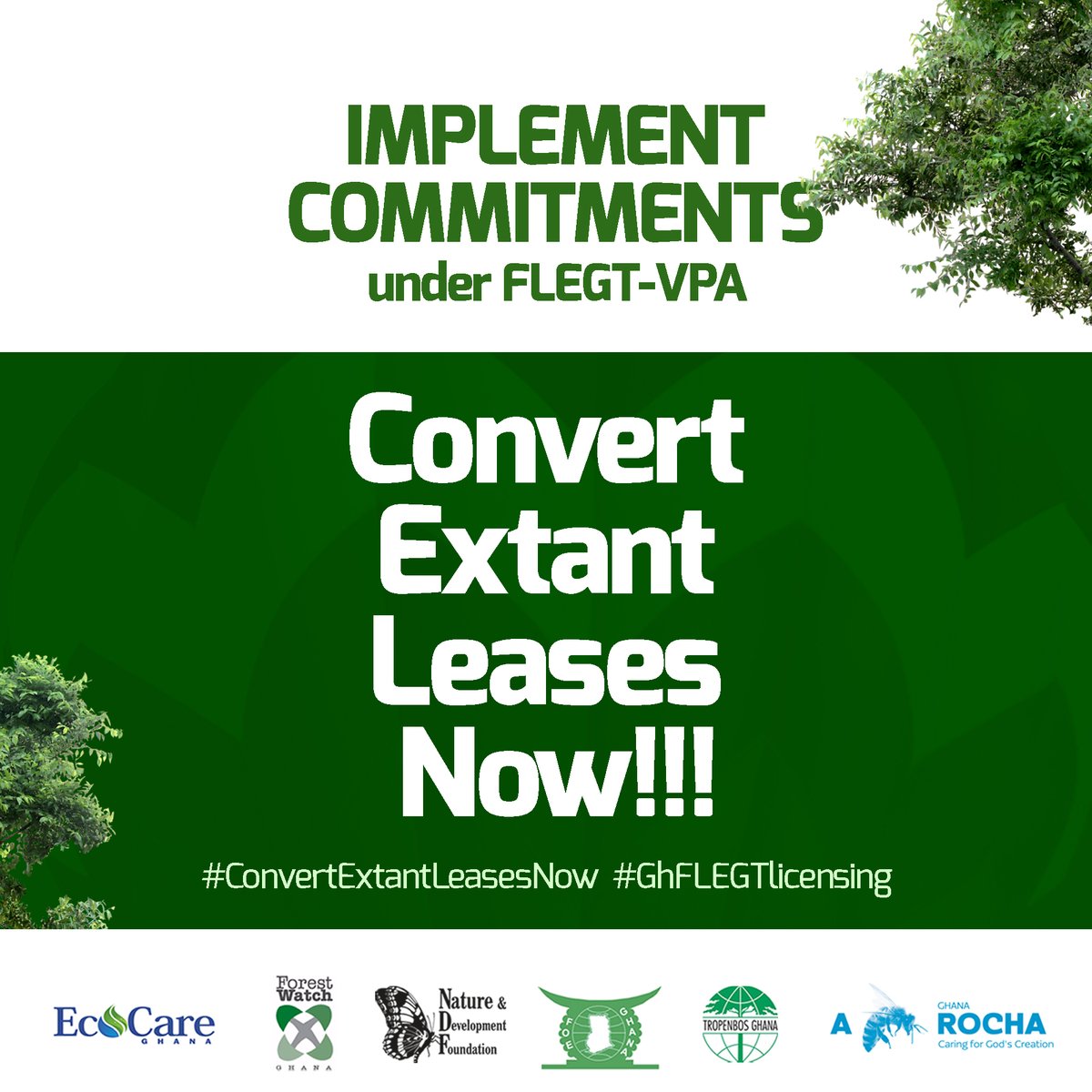 ecocareghana's tweet photo. Issuing a FLEGT license will solidify the position of Ghana’s timber industry as a legitimate industry player and will enjoy the “green lane” with respect to EU timber regulation due diligence requirements.@GhanaParliament @FAO @FAOGhana 
#ConvertExtantLeaseNow  #GhFLEGTLicensing https://t.co/sE5ypLK8jj
