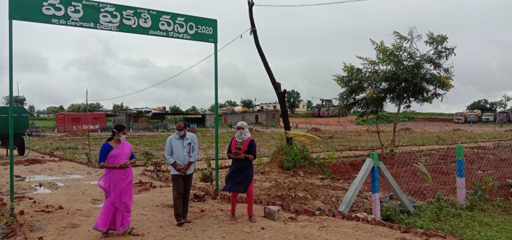Palle prakruthi vanam of yedula grampanchayat
