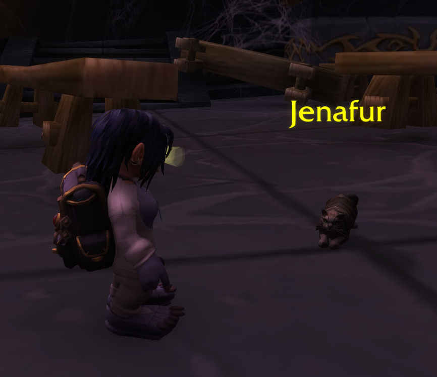 Gnome_Velvet's tweet photo. You cheeky monkey you... #warcraft #jenafur #secretfinding https://t.co/vJxNvgUTBx