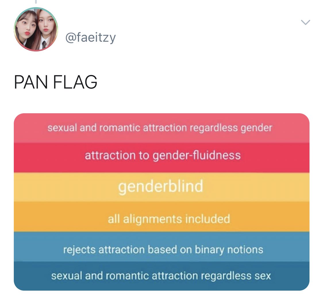 the "new" flag and the stripe meanings are not good at all. some trans people consider "genderblind" to be transphobic, and "sexual and romantic attraction regardless of sex" is not what pansexuality is at all, sex and gender are not the same thing