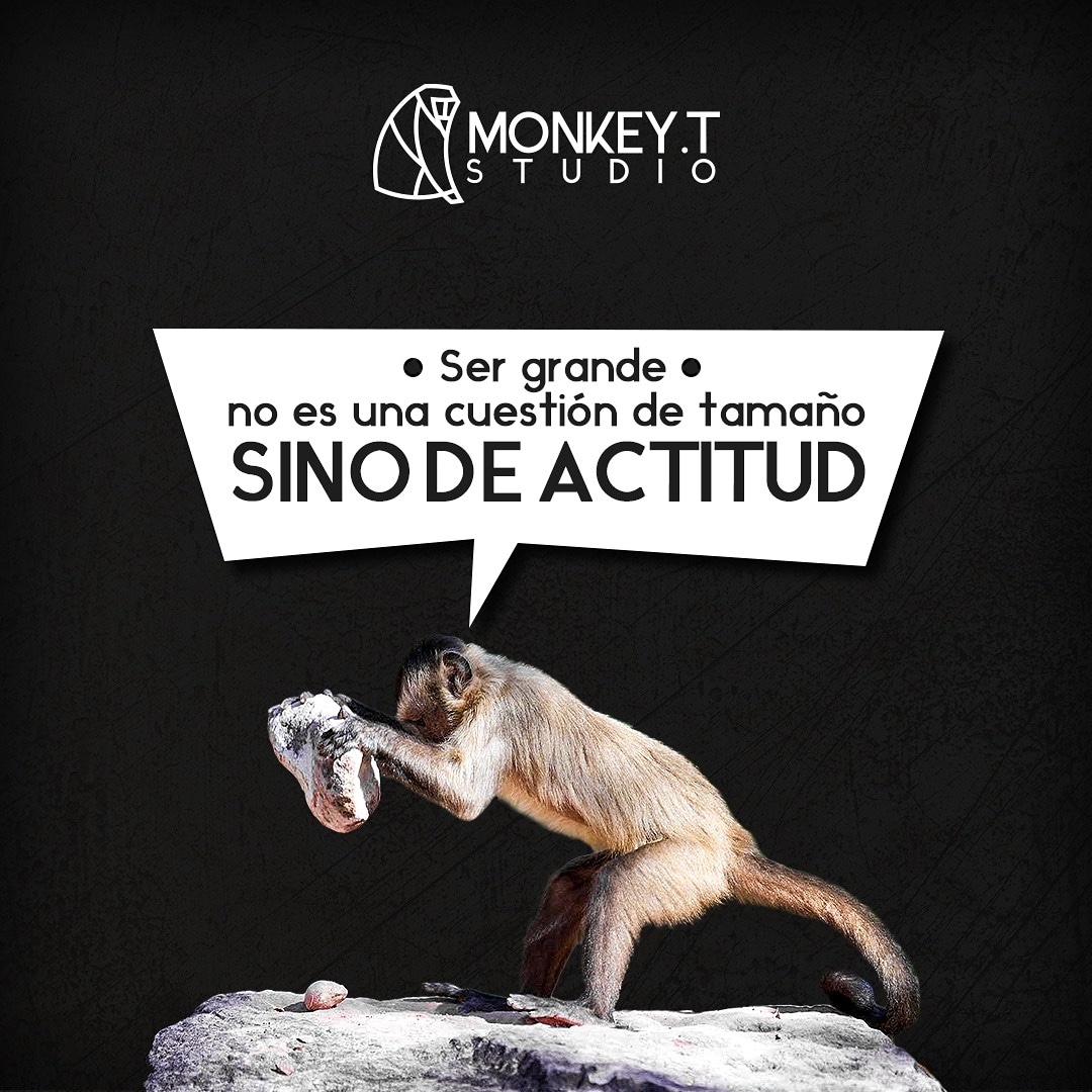 MonkeyTStudio's tweet photo. Ser grande no es una cuestión de tamañano sino de actitud 🙌🏻
.
#monkeyt #MonkeyTStudio #estudiocreativo #nosdedicamosati #happymonday #felizlunes #quotes #guayaquil https://t.co/8neJuMvfTk
