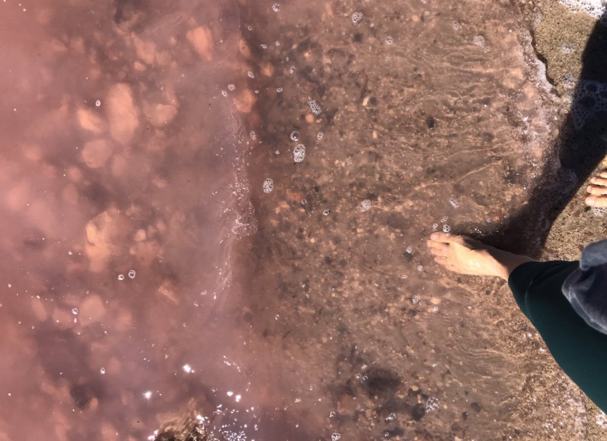 JamazingTeachin's tweet photo. Went to visit a natural #phenomena in Western Aus. The pink lake of Hutt Lagoon. It is at its most pinkest at noon. What scientific questions do you have about the this lake? @NGSSphenomena @NGSS_tweeps @OfficialNGSS #ElemNGSS #pinklake #thisisWA https://t.co/Y0hfpKkmqK