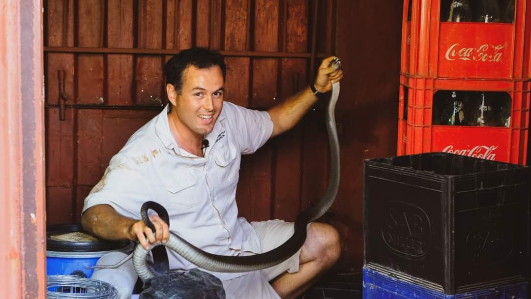 Snake Season is back tonight 😎 😁🐍
Tonight's episode features two exciting yet challenging Black Mamba rescues! 

Tune in at 6PM on the People's Weather Channel (180) on DSTV!
Repeat at 9PM and 10AM tomorrow morning.

#snakes #Durban #southafrica #conservation #africa #wildlife