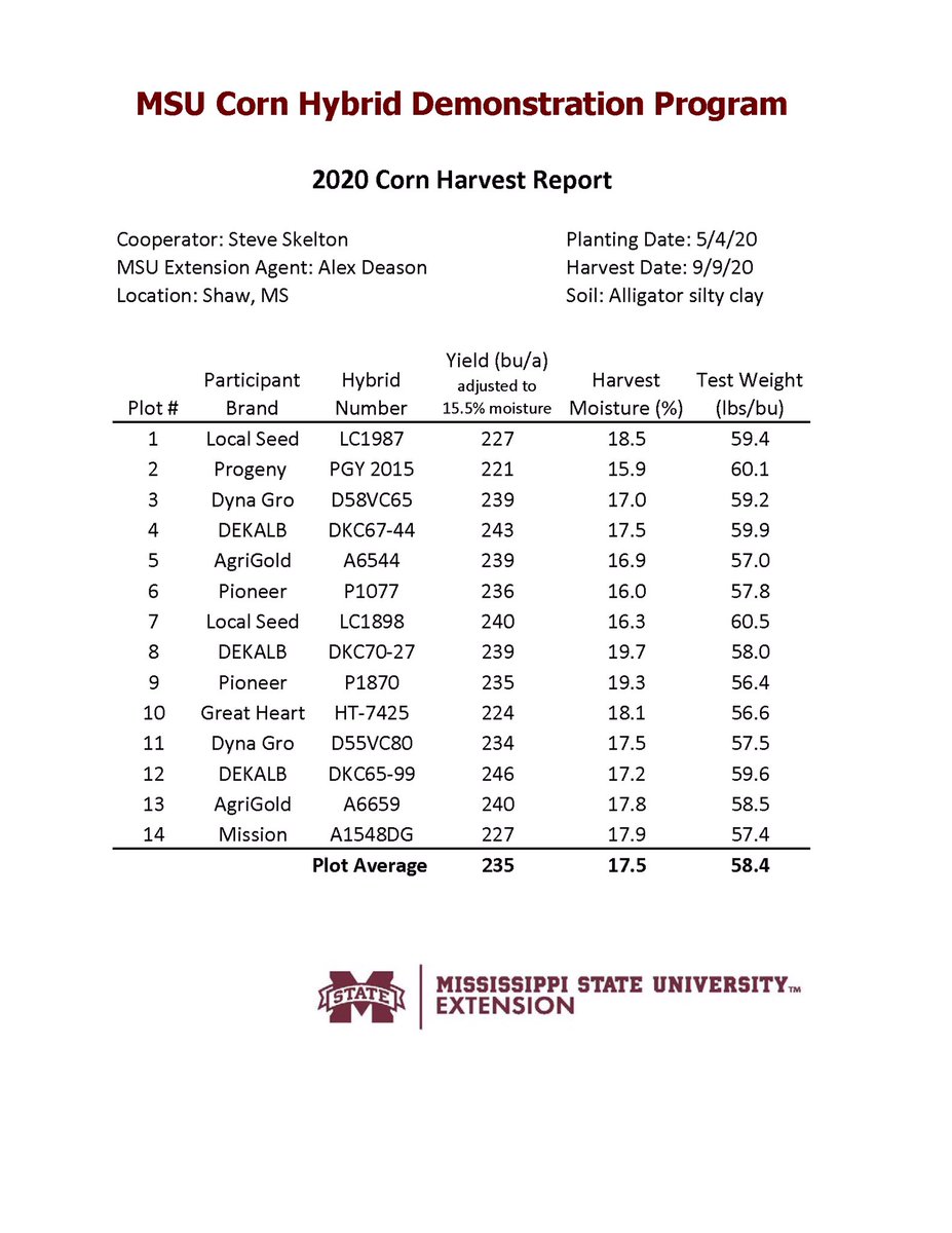 MStateCorn's tweet photo. Folks, this is May planted #corn grown on clay in the Delta. Very impressive yields! Thank you Steve and Wyot! #mscrops #Harvest20 #UniversityTested #MSUext https://t.co/5AmISFUmsb