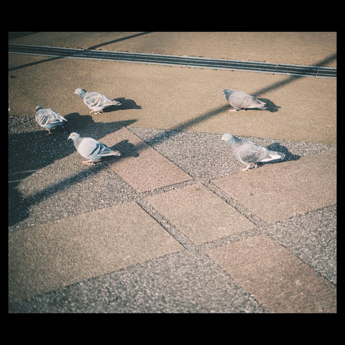 OonoTity's tweet photo. 【 #通り過ぎたなんでもない毎日 】
・
・
・
#なんてことのない写真 #黄色計画 #千葉 #fuji_xseries #galaxynote9 #vscocam #japan #japan_photo_now #写真好き #写真好きな人と繋がりたい #reco_ig #snap #snapshot https://t.co/qf2gtgdY27