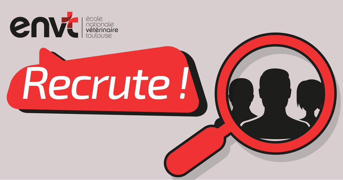 env_toulouse's tweet image. RECRUTEMENT - Le Service communication de l'ENVT propose un contrat d'alternance sur un an en tant que chargé/e de communication digitale. Poste à pourvoir de suite.
➡️🧐Plus d'infos sur le profil : bit.ly/2ExTgok