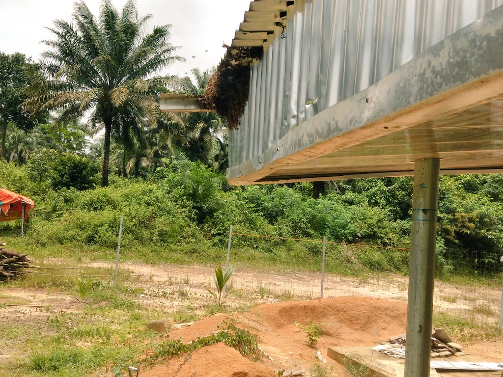 The Agri-Contractor | Farmily Field Farms tweet media