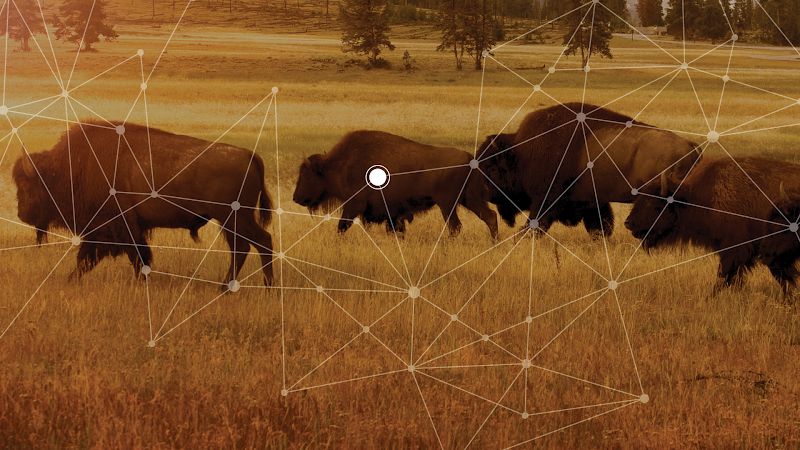 CUBoulderAlumni's tweet photo. Join the Forever Buffs Network for free to grow your professional network, get access to job postings and reconnect with @CUBoulder classmates. 1 more login. 275,000 more connections. #WorthIt #ForeverBuffs https://t.co/eWwnR2gZye https://t.co/aJMtuXi13m