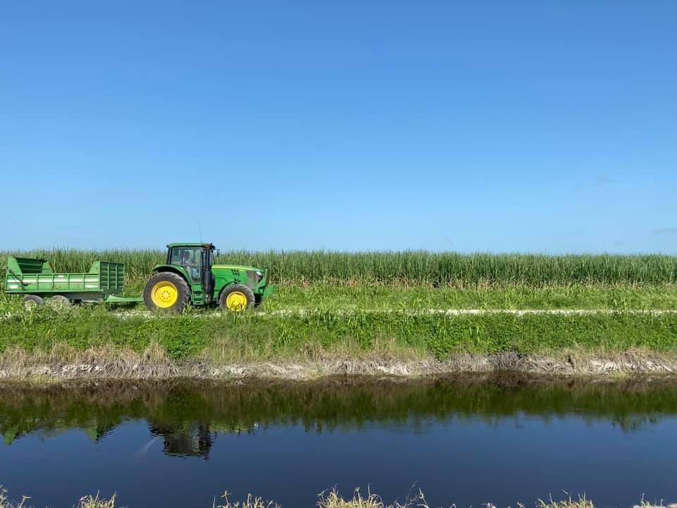 Not only do our farms produce food and fiber for families across America, they also serve as a safeguard for a wide range of Florida wildlife. #ThankAFarmer #FreshFromFlorida #MoreToSugar