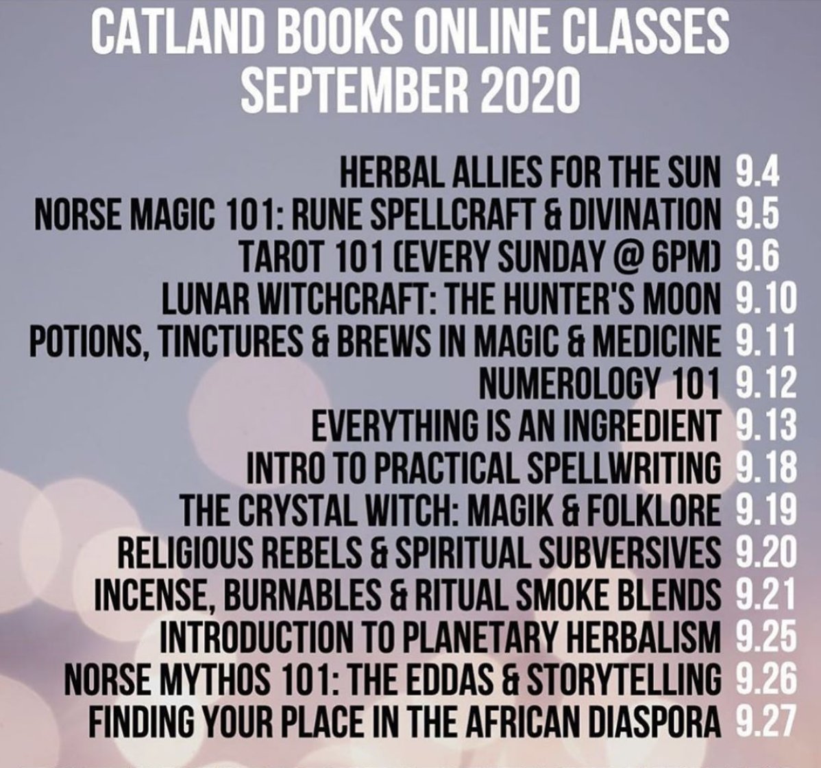 Check our lineup for this month's online classes! Follow us on IG for more info: <a href="/catlandbooks/">Catland Books</a>