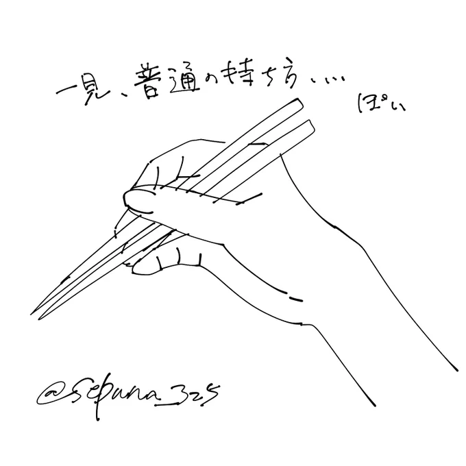 箸の持ち方でなんか騒いでたけど
テレビで紹介された持ち方のどれにも属さない私は一体…? 