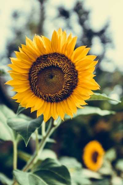 Good morning, afternoon, evening or night wherever you are!
"One cannot and must not try to erase the past merely because it does not fit the present." Golda Meir