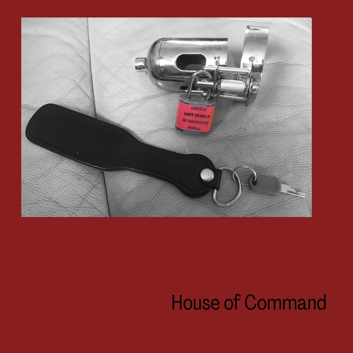 HouseOfCommand's tweet photo. Fun at Devotion.. Well for me anyway 😉
#chastiry #caged #HouseOfCommand #EmbraceYourInnerSubmission #SubmissiveTraining #Onlinecoaching #DominantFemale #YesMistress #Goddess #Beyourtrueself #findyourself #love #Femdom https://t.co/Nguilr2UtS