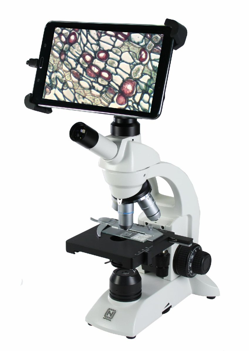 Capital Microscope (@CapitalMicro) / Posts / X