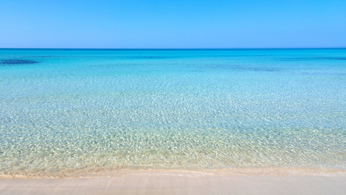 WhatisLove031's tweet photo. "The voice of the sea speaks to the soul. The touch of the sea is sensuous, enfolding the body in its soft, close embrace".

Kate Chopin 

#thoughofday #SEA #water 
#INFINITE #googlephoto #photography #gt https://t.co/WpdMBmVS1x