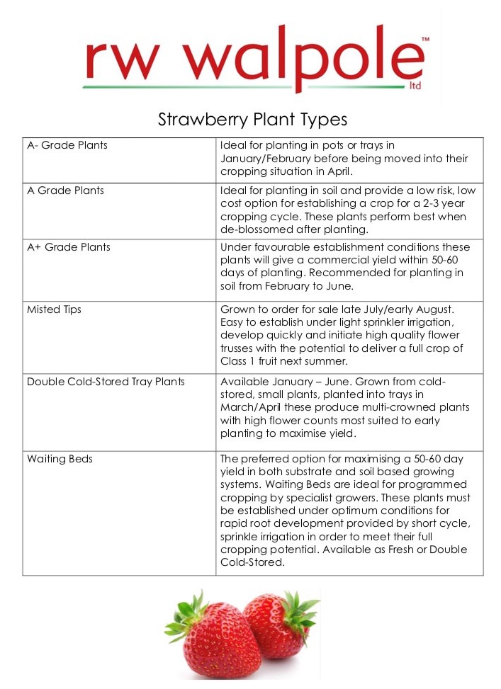Not sure which plant type is right for you? Here's our handy guide to help you choose.. 🍓