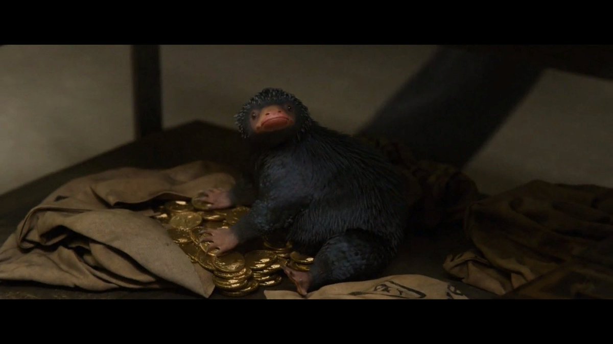 фантастические твари мемы. где живешь тварь. нюхль фантастические твари кадры из фильма. макуса гарри поттер фильм. элисон судол куинни.