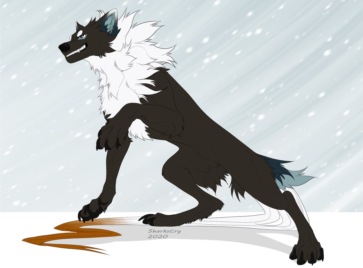 skywolffang's tweet photo. Commission for @squishytimez 
#wolfart #animewolves #Furryartist #commission #wolf #furry https://t.co/DKeIFXef8p