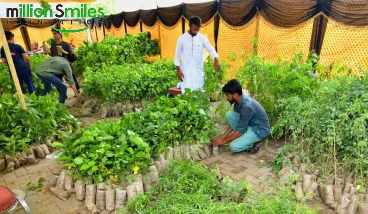 MSfoundationPK's tweet photo. GREEN PAKISTAN with #MillionSmiles !

Our Team #Gujranwala distributed 6OO plants and took part in this beautiful initiative of making our Homeland green and breath Fresh by #MillionSmilesFoundation.

As a Human, it is our responsibility to plant more trees. https://t.co/vEqwSwplwE