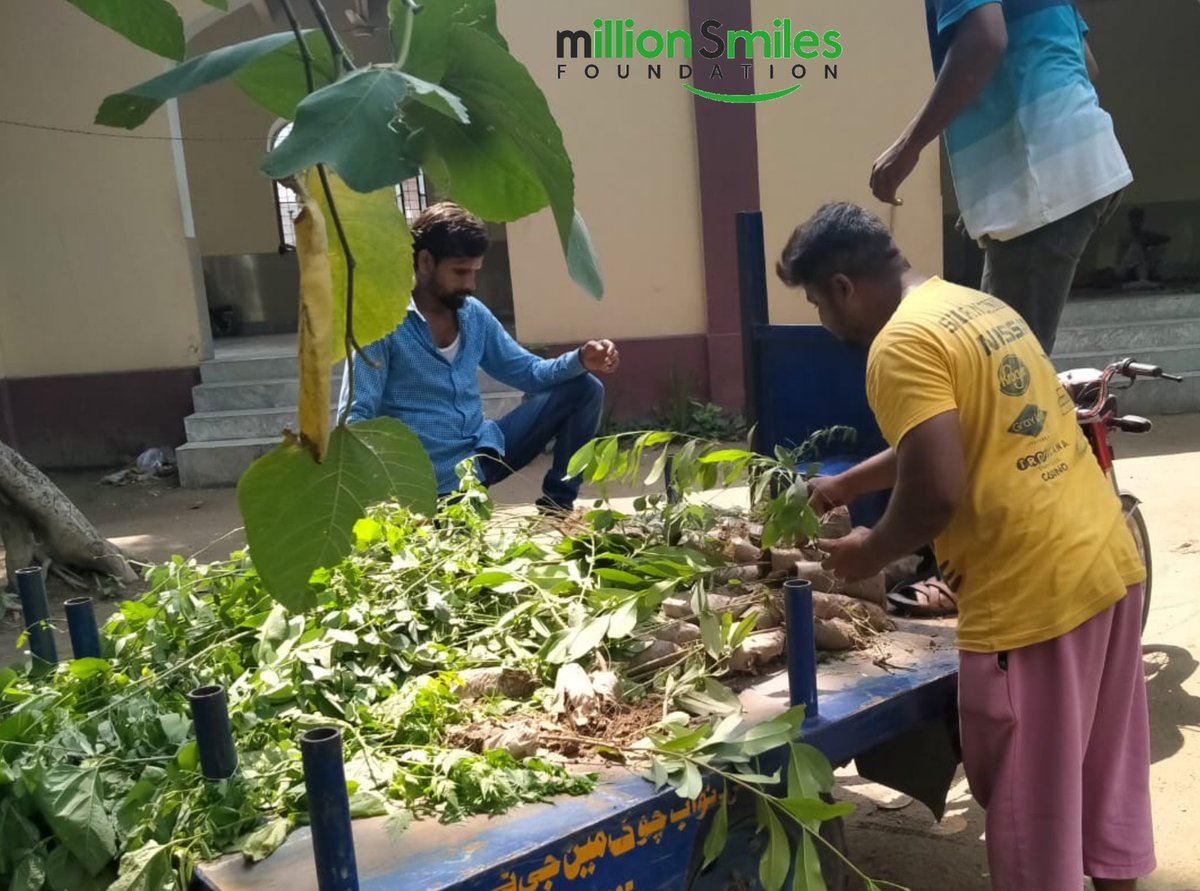 MSfoundationPK's tweet photo. GREEN PAKISTAN with #MillionSmiles !

Our Team #Gujranwala distributed 6OO plants and took part in this beautiful initiative of making our Homeland green and breath Fresh by #MillionSmilesFoundation.

As a Human, it is our responsibility to plant more trees. https://t.co/vEqwSwplwE