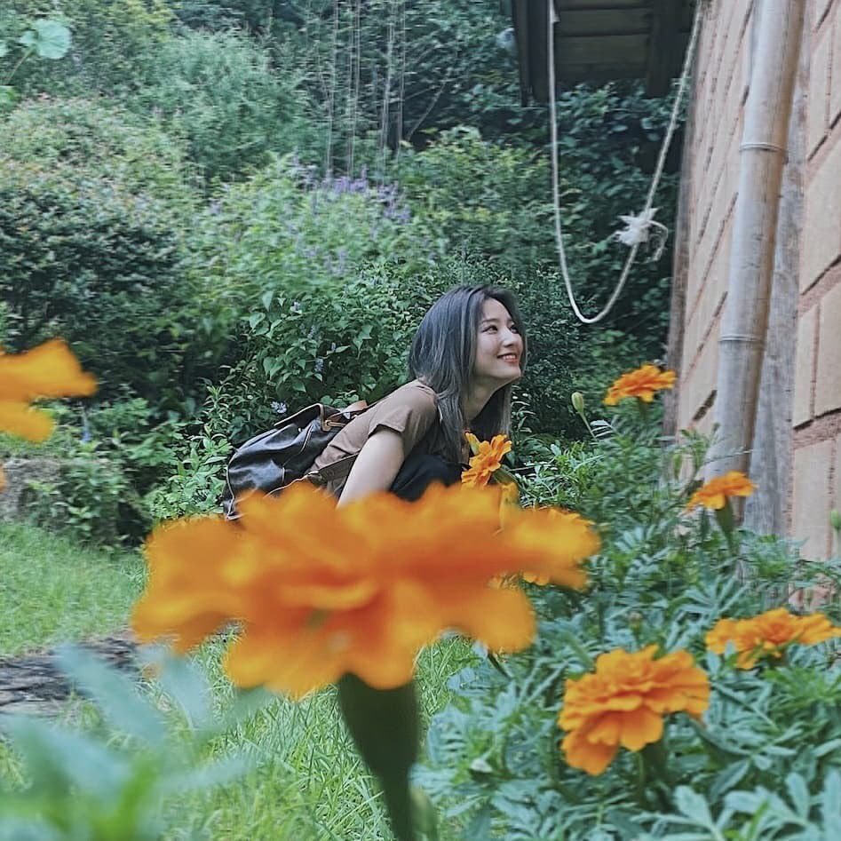 lTZYRJ's tweet photo. Flowers and I. 🏵️ https://t.co/oZRZHAt90V
