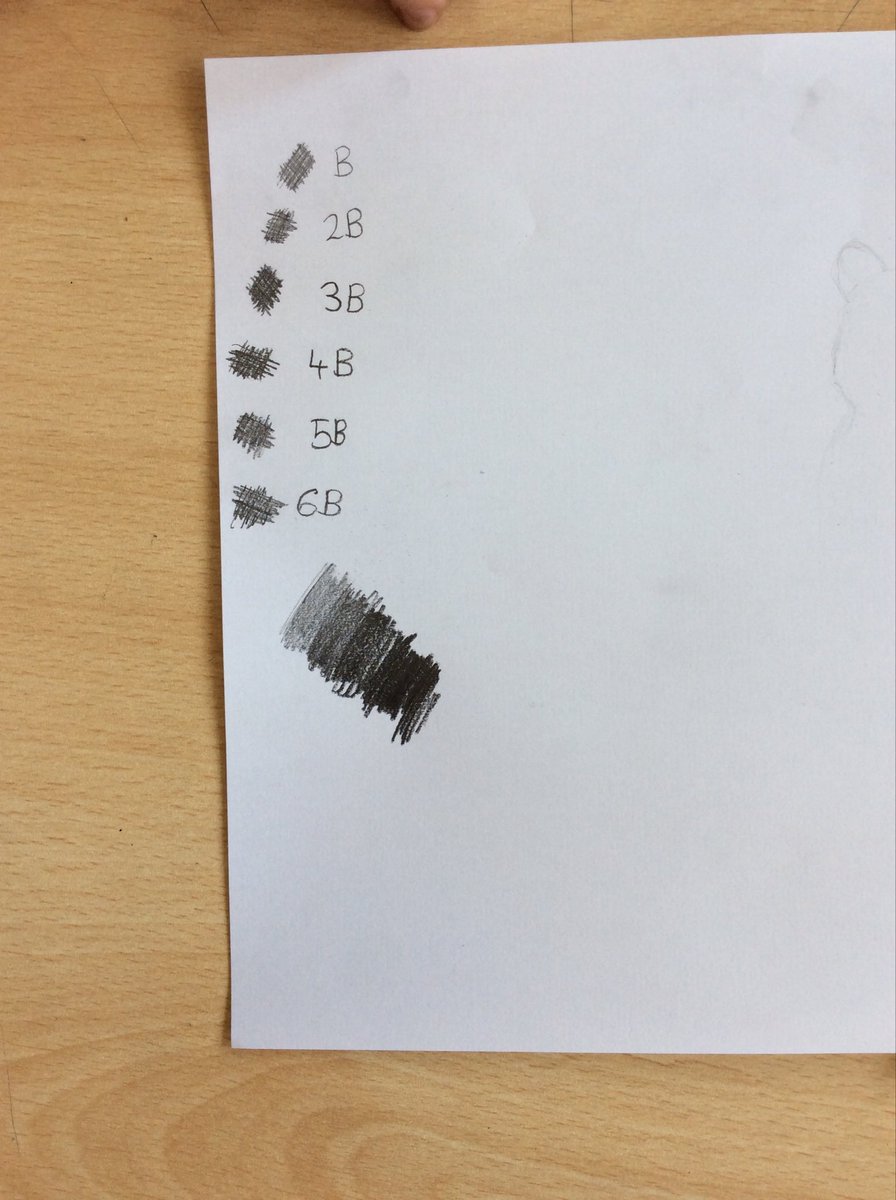 malin_Y56's tweet photo. Drawing animals to scale and proportion. Some amazing examples and sketching techniques here today! https://t.co/y7Z4JKjcGV
