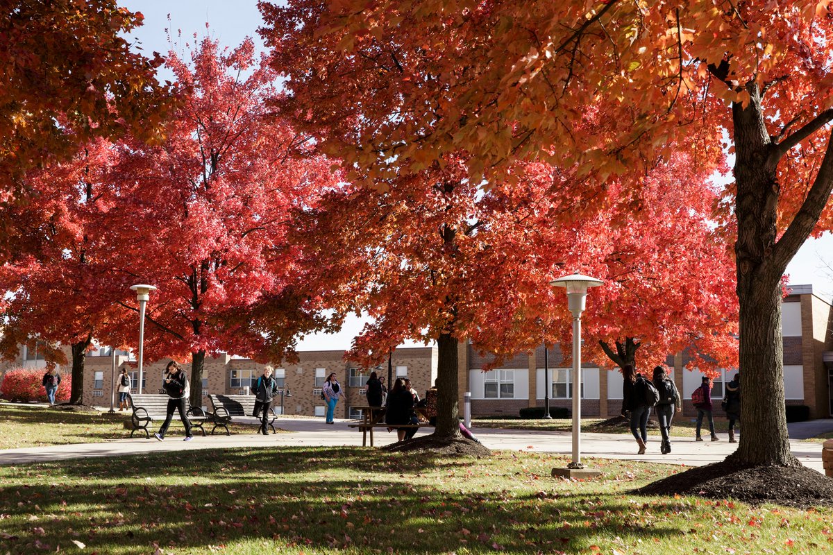 AU_Admissions's tweet photo. Happy Monday! You can feel Fall in the air, soon campus will shift from green to AU maroon and gold. Looking forward to autumn hoodies and colorful leaves (look at last year's glow). #alverniauniversity #alverniaadmissions https://t.co/VS4MqXq792