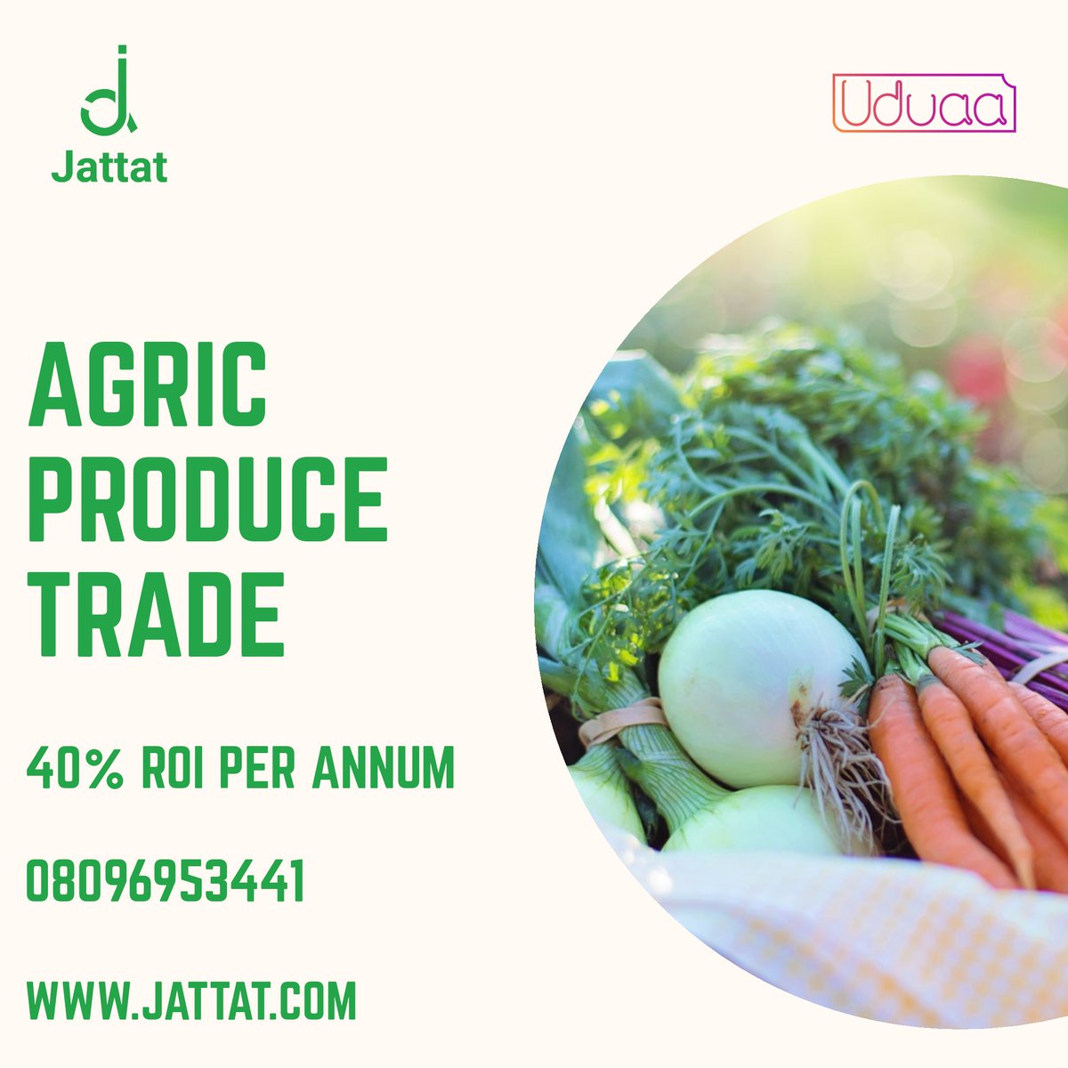 jattatdotcom's tweet photo. @themoneyafrica Agriculture https://t.co/mlmTgge6xB