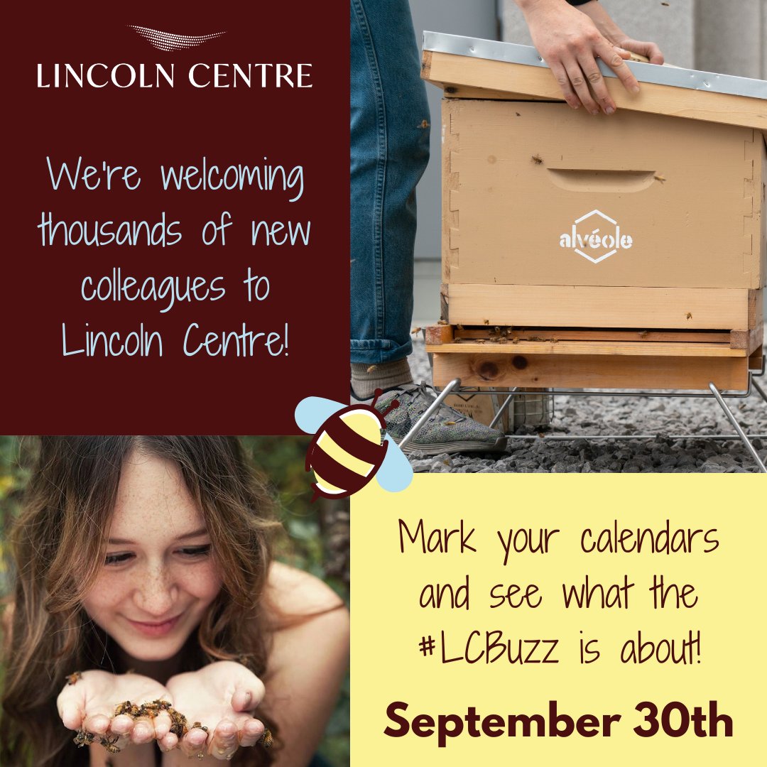 Lincoln_Centre's tweet photo. We're partnering with @alveolebuzz to bring urban beekpeeing to Lincoln Centre!
#LCBuzz #urbanbeekeeping #savethebees #bees #beekeeping #lincolncentredallas #dfw #dallas #texas https://t.co/1h0WZFRMSM