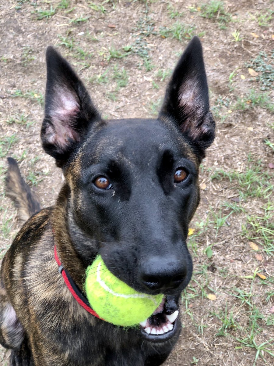 Good Morning!  Anyone want to play?