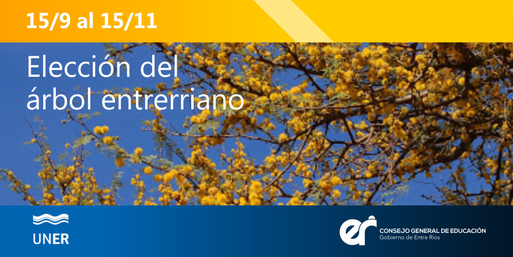 Consejo General de Educación tweet media