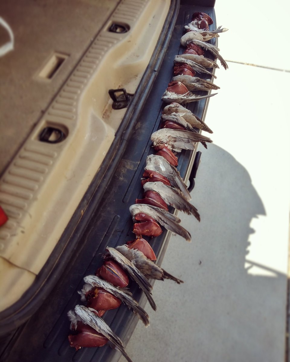 jimhuntsaz tweet picture