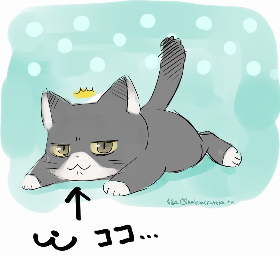 猫之くろこ オリジナル ネコ 仕事で疲れたからネコさんに癒やされたい 口をもふもふしたい お腹に顔をうずめたい 足の裏をかぎたい 肉球でワンパンされたい いや 存在してるだけで癒されるけど 同居出来ないからネコ動画を観ようかな