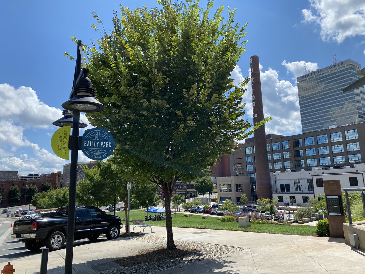 DowntownWS tweet media