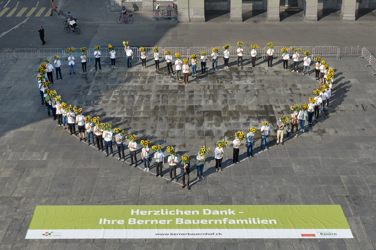 bernerbauern tweet media
