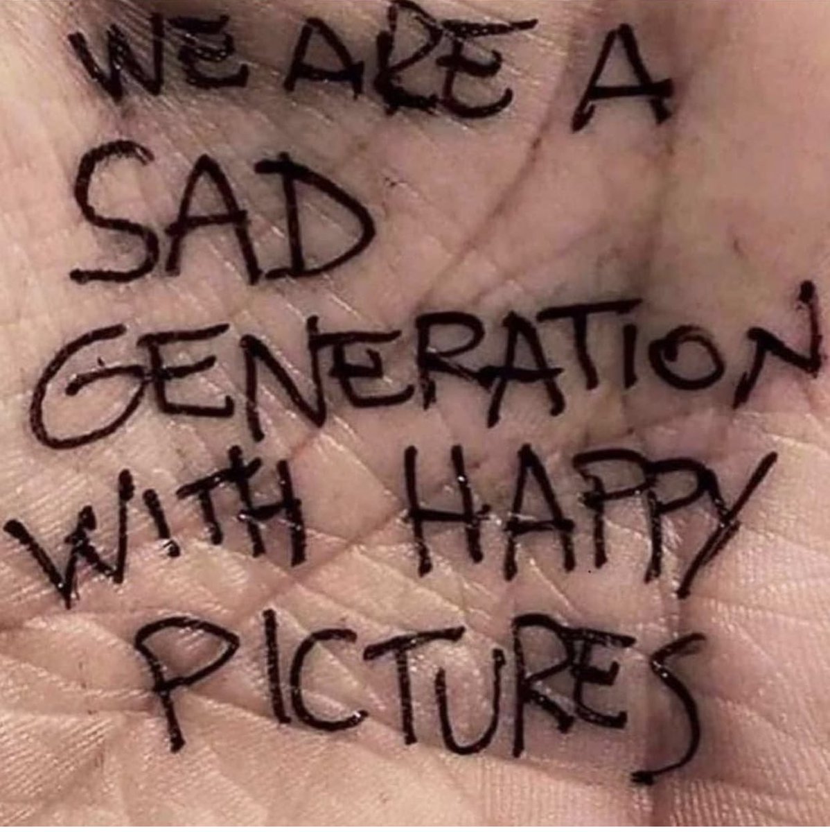 patphelan's tweet image. instagram world