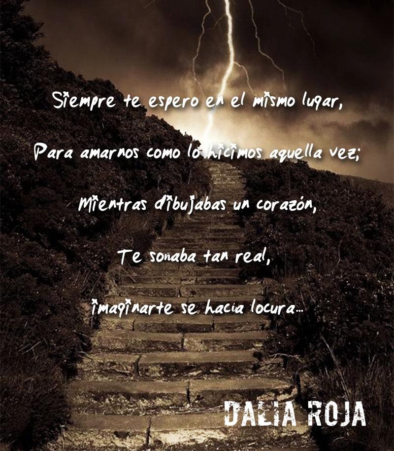 Dalia Roja tweet media