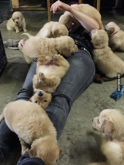 HeyPuppers's tweet photo. https://t.co/M4tBAHZvq7