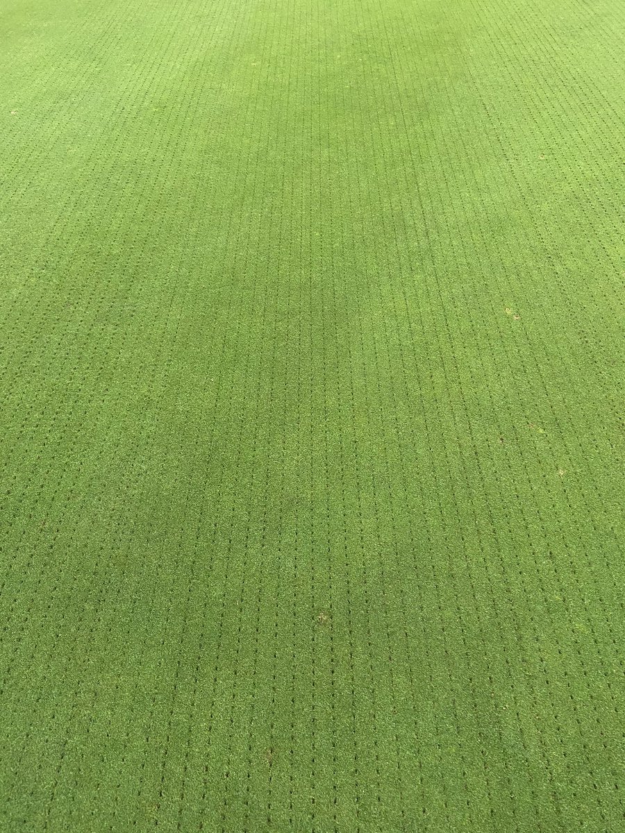 Stephen McBlain (@steviemcb1) on Twitter photo Third over-seed of the season today using AberMajesty <a href="/GerminalAmenity/">Germinal Amenity</a> <a href="/StCuthbertGC/">Prestwick St Cuthbert Golf Club</a> then a topdress and roll. #purebent Third over-seed of the season today using AberMajesty <a href="/GerminalAmenity/">Germinal Amenity</a> <a href="/StCuthbertGC/">Prestwick St Cuthbert Golf Club</a> then a topdress and roll. #purebent