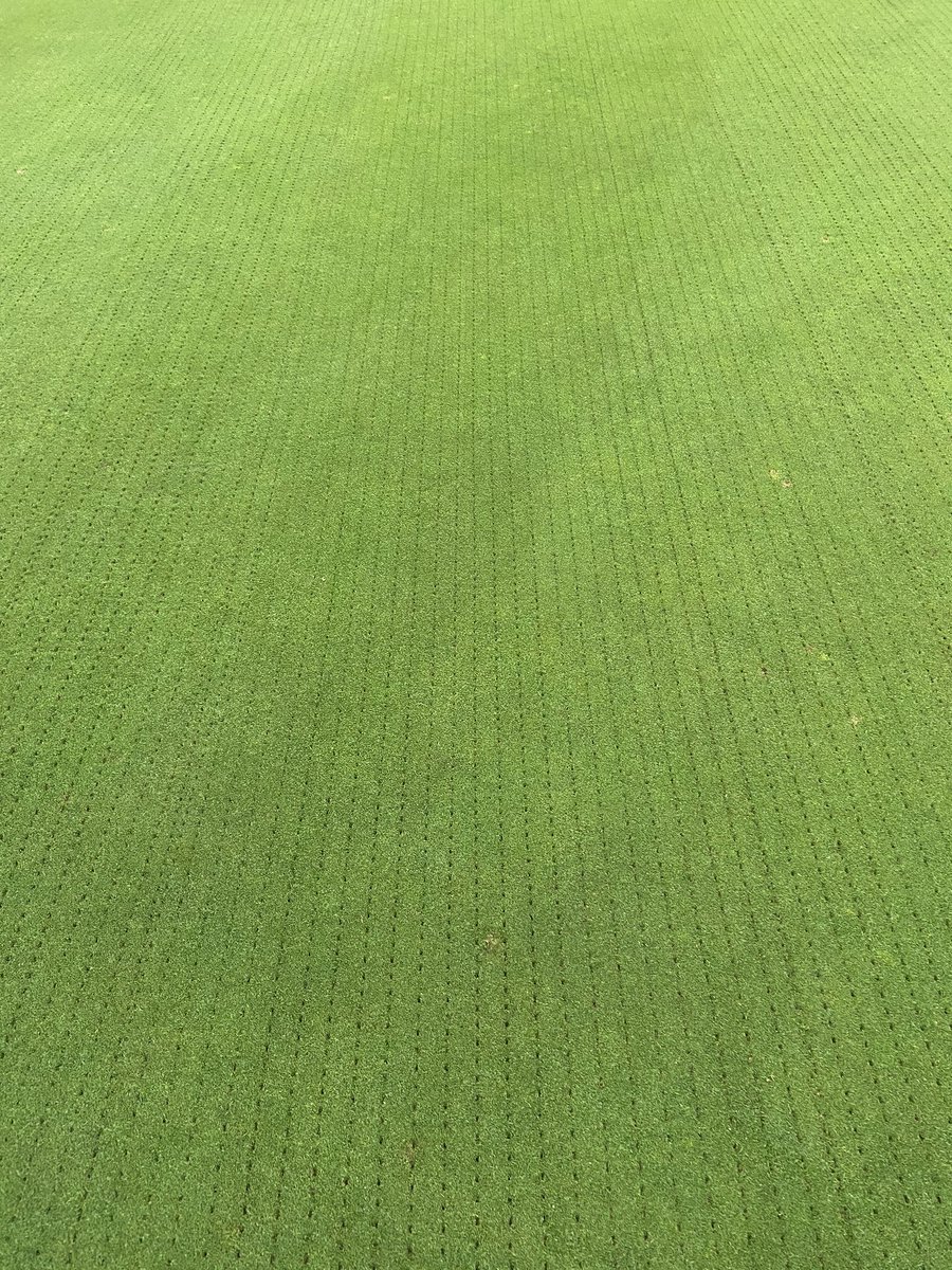 Third over-seed of the season today using AberMajesty @GerminalAmenity @StCuthbertGC then a topdress and roll. #purebent