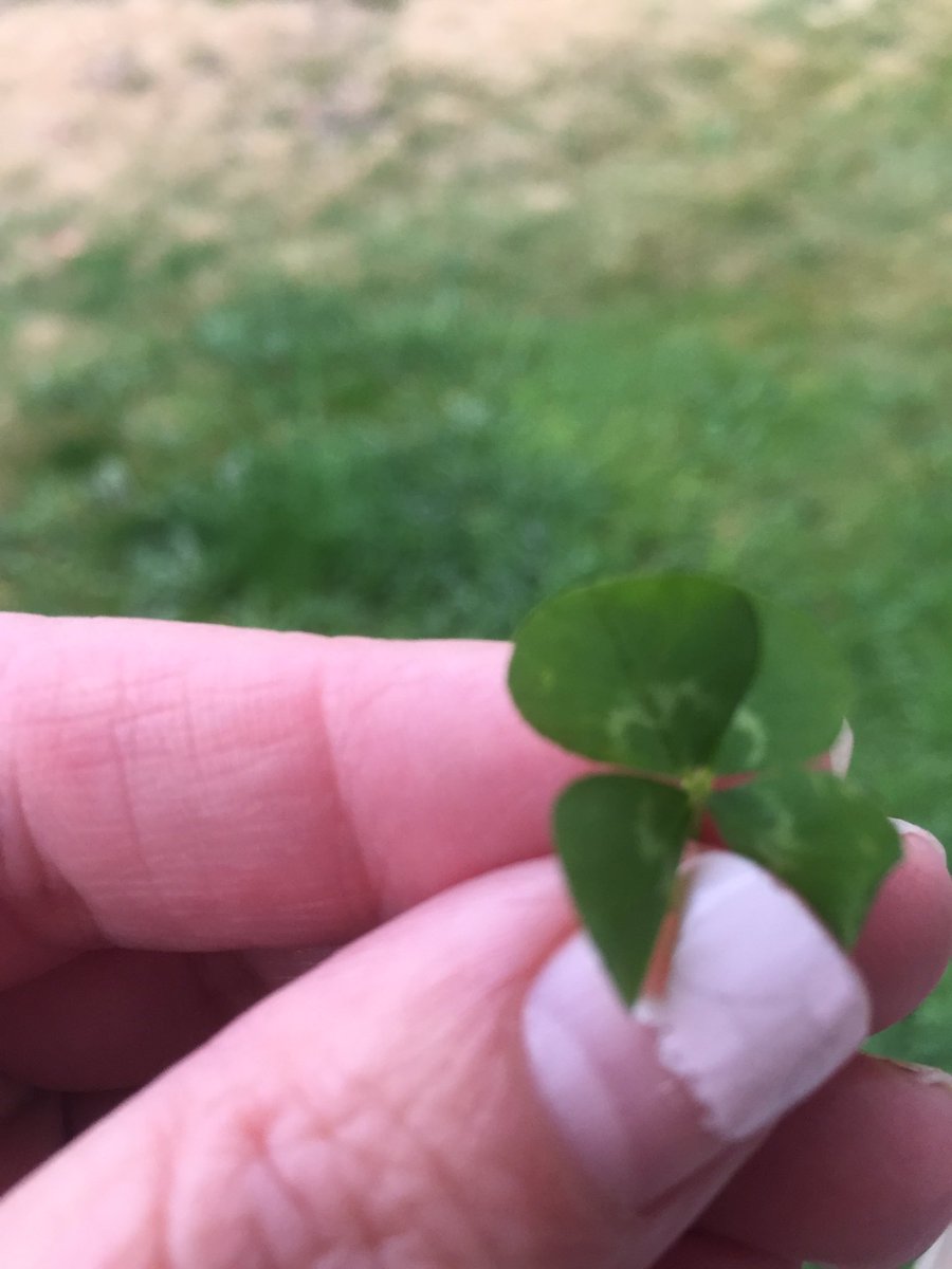 FileciaO's tweet photo. @thewitchbrmclst Sending it back to you ❤️ 🍀 https://t.co/X8eT9uHPvq