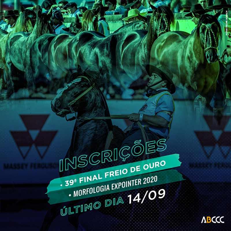 ABCCCoficial's tweet photo. Encerram-se hoje (14) as inscrições para as finais do 39º Freio de Ouro e Morfologia da Expointer 2020!

▶ Acesse a matéria completa para conferir a programação das atividades e realizar sua inscrição: https://t.co/rvUioNyEUq https://t.co/xeYa0dGwwO