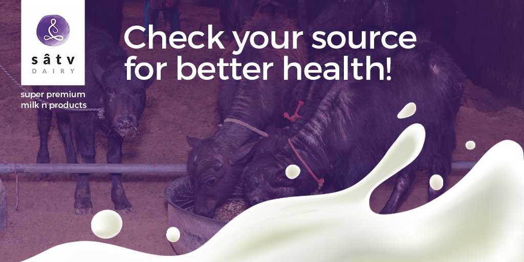 satvdairy's tweet photo. Be a part of #SatvMovement!Visit our farm and experience the natural and Vedic ways of Dairy Farming. 

#satvpurity #immunitybooster #allnatural #beaware
#TimetoSwitch https://t.co/N6TfBcZMDG