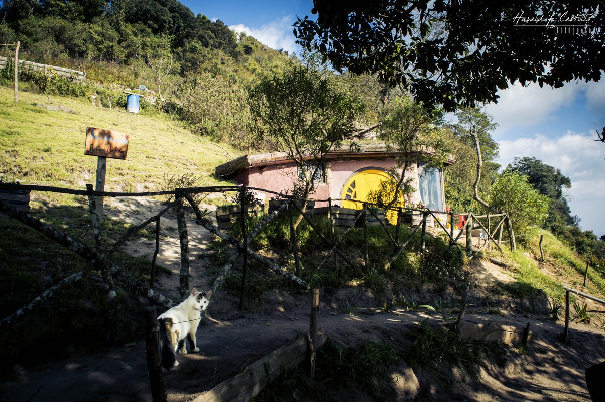Haraldshots's tweet photo. Hobbitenango 📸 #PhotographyIsArt #streetphotography #flores #nikon #nikontop #StreetArt #50mm #perhapsyouneedalittleguatemala #visitguatemala #colors #photographer #arquitecture #4gradosnorte #Guatemala #hobbitenango https://t.co/XXnQg67jsX