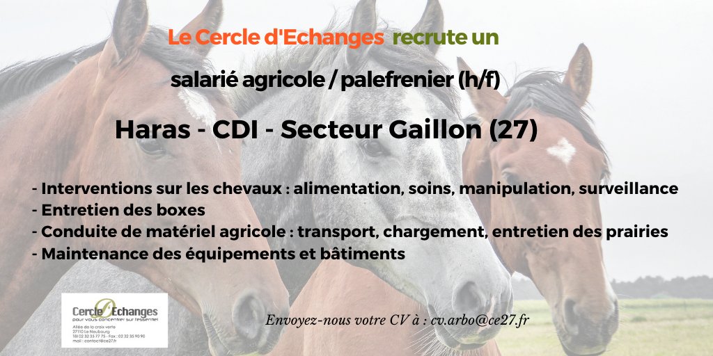 CercledEchanges's tweet photo. @CercledEchanges spécialisé dans le #Recrutement en #agriculture recherche un palefrenier en #CDI pour un haras reconnu pour son élevage de #chevaux #cheval de #sports #Competition @Agri_Normandie @EureenNormandie  @Limpartial27 @reussir @CourrierdelEure @Canappeville https://t.co/PxQiThQx0U