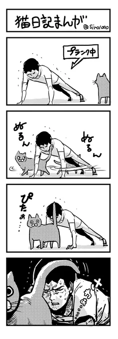 唐突な猫日記まんが 