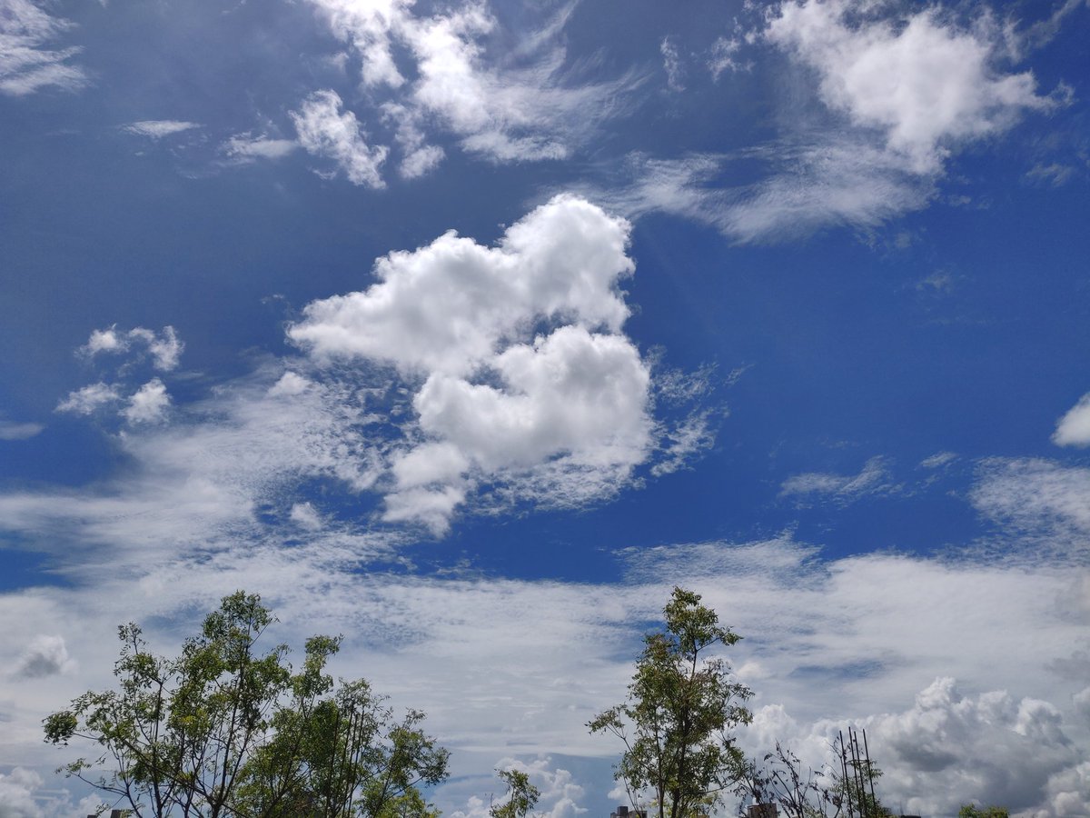archanavimal's tweet photo. Amidst the chaos that surrounds, you find the tranquility in the soothing words and the loving embrace. Even nature envelopes itself with serenity #AVMusings #beautifulday #ThoughtForTheDay #relax #love #feelings #mondaythoughts #ShotonOnePlus https://t.co/CVCKay1lXT